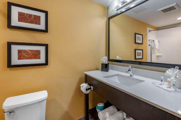 Comfort Suites Fort Lauderdale Airport South & Cruise Port image 12